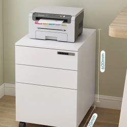 WL1200儲物柜